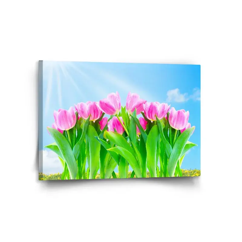 Obraz Růžové tulipány - 120x80 cm