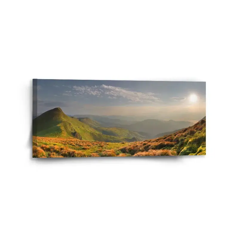 Obraz Travnatá krajina - 110x50 cm