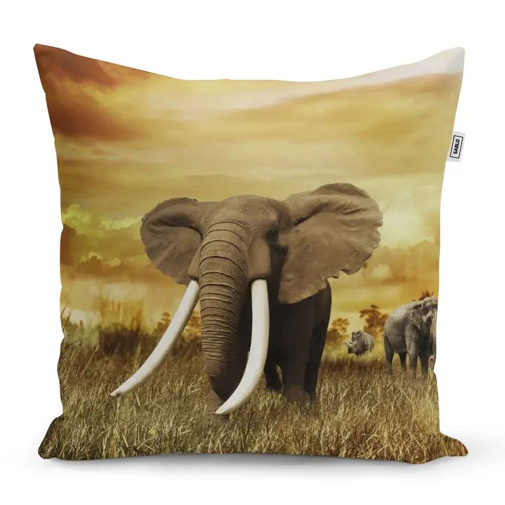 Polštář Slon Africký - 60x60 cm