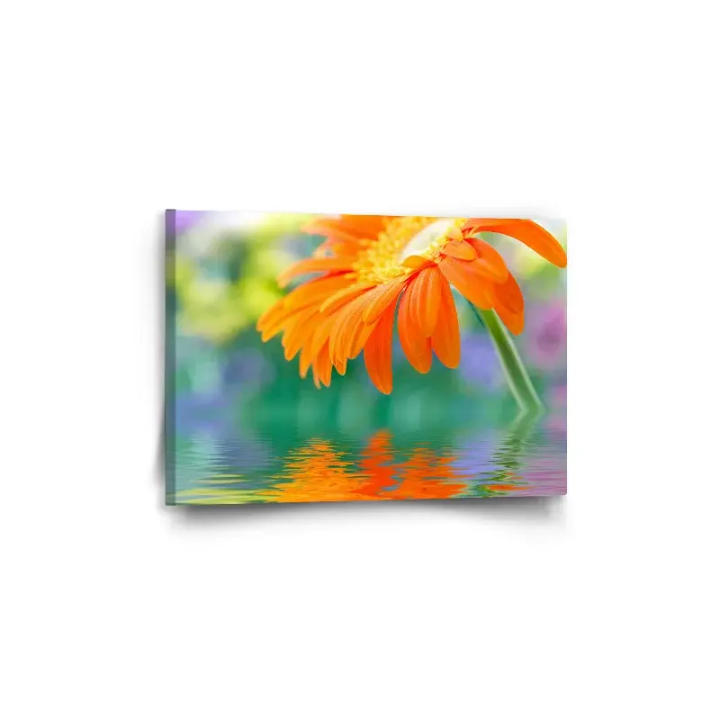 Obraz Oranžová gerbera - 60x40 cm
