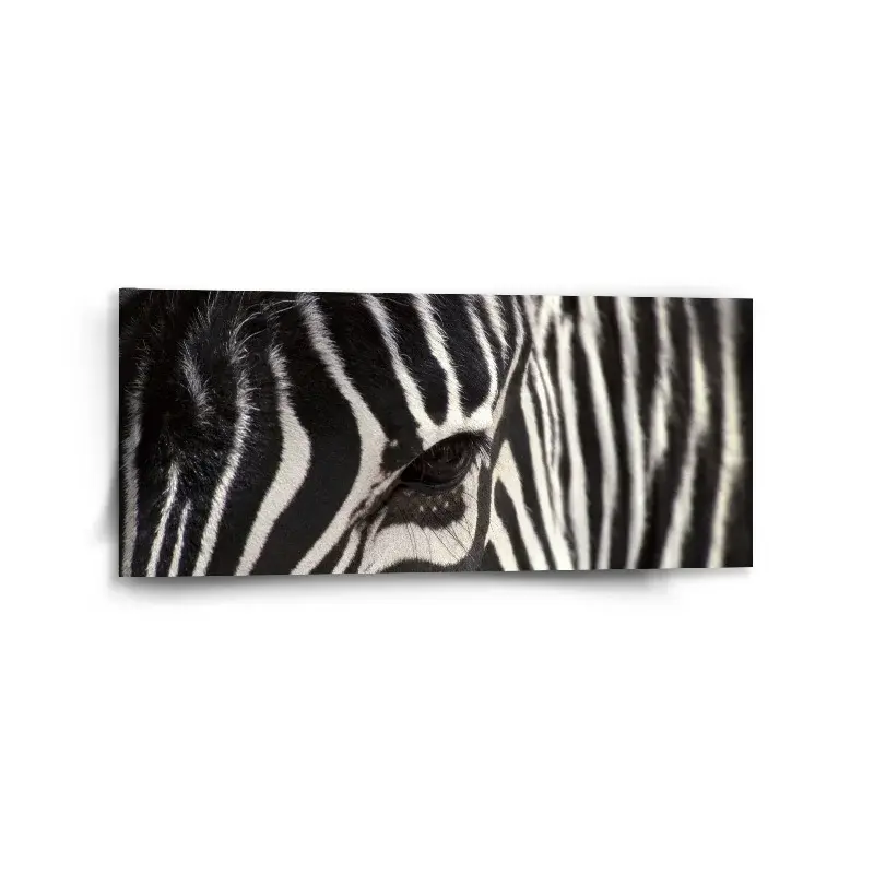 Obraz Detail zebra - 110x50 cm