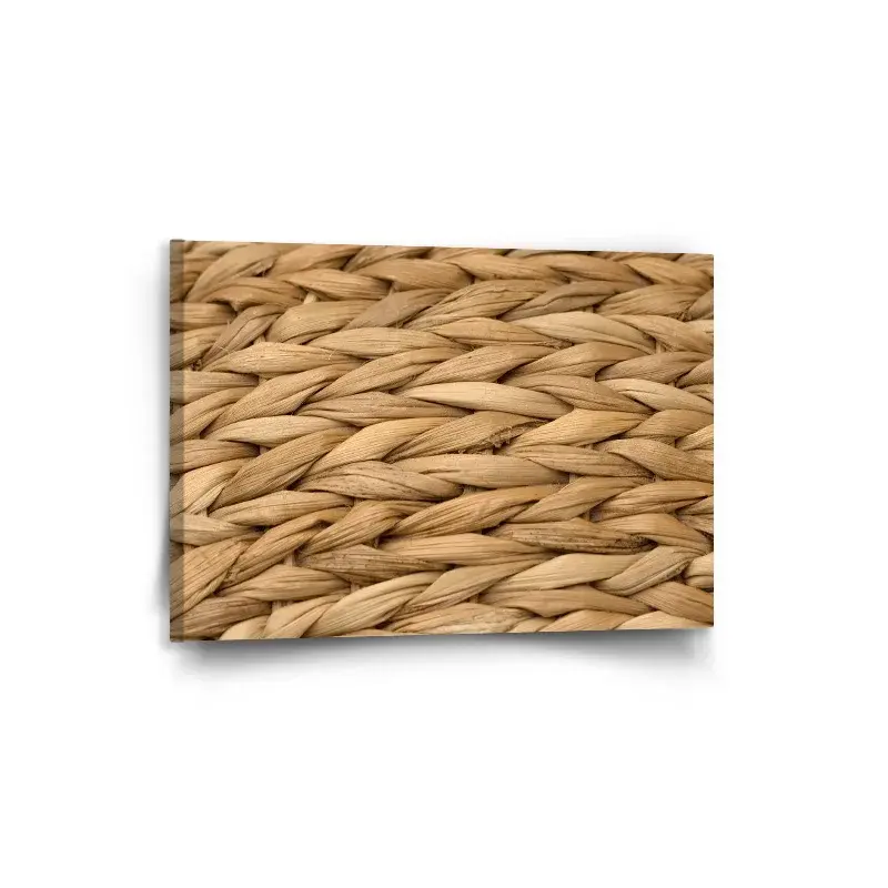 Obraz Banánové listí 2 - 90x60 cm