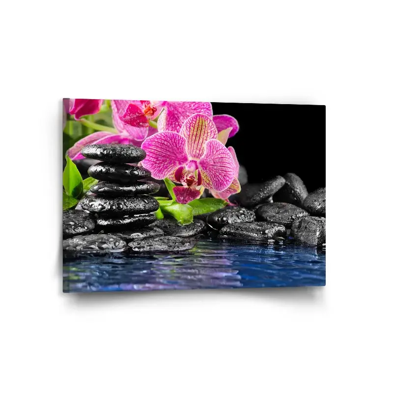 Obraz Orchidej na kamenech - 120x80 cm