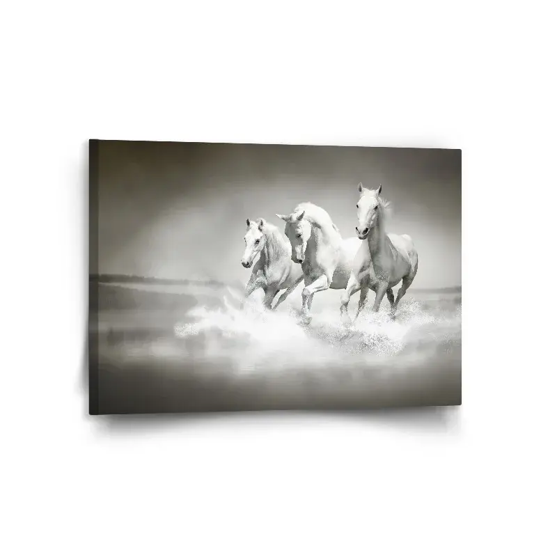 Obraz Bílí koně - 120x80 cm