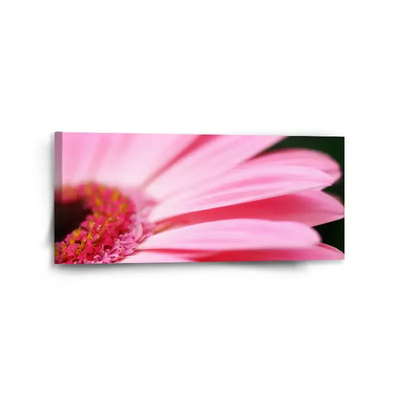 Obraz Růžová gerbera - 110x50 cm
