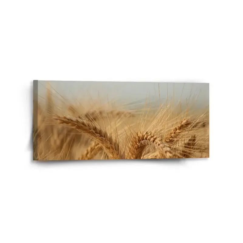 Obraz Klasy 2 - 110x50 cm