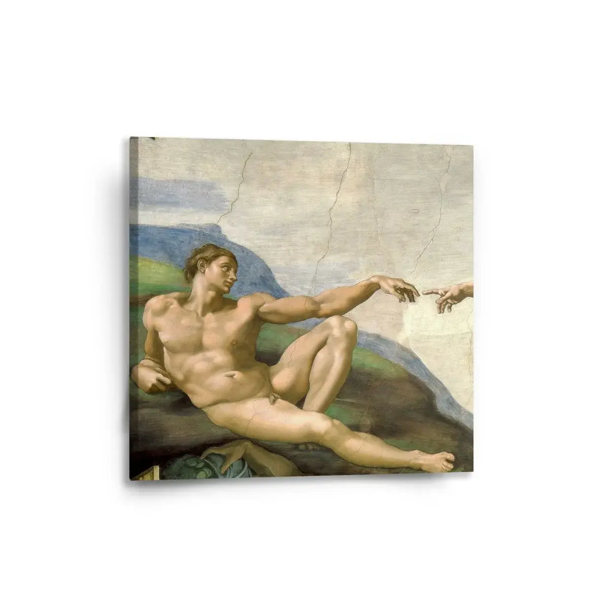 Obraz Stvoření Adama - Michelangelo Buonarroti - 50x50 cm