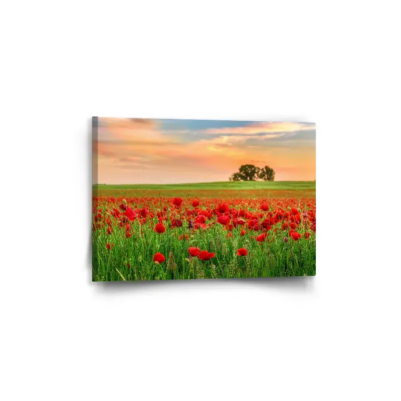 Obraz Pole vlčích máků 2 - 60x40 cm