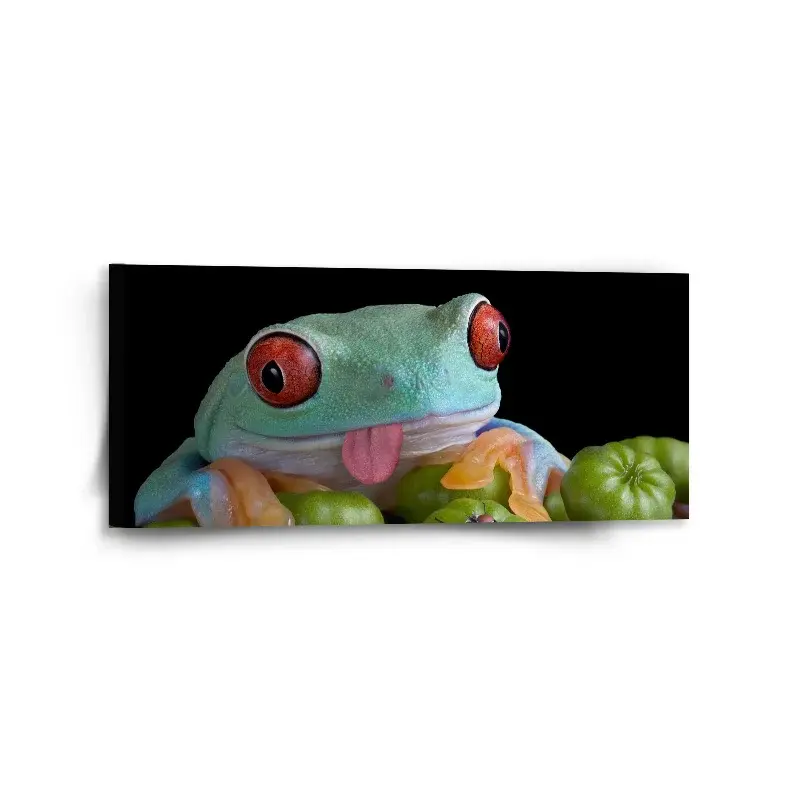 Obraz Veselá žába - 110x50 cm