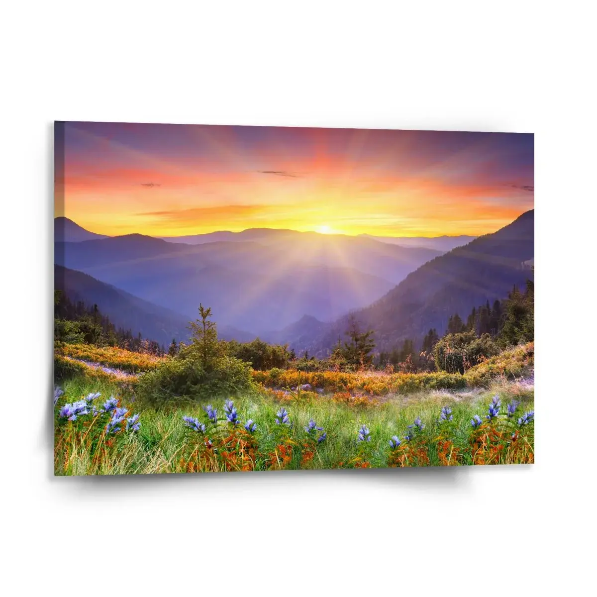 Obraz Západ slunce nad lesem - 150x110 cm