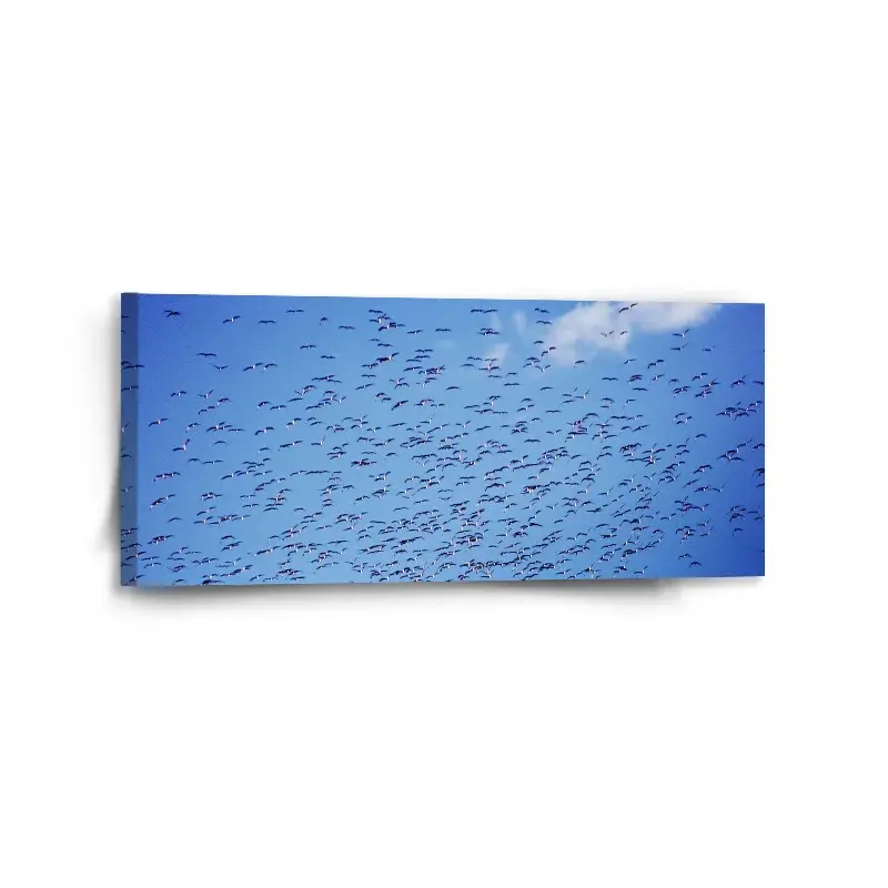 Obraz Hejno ptáků - 110x50 cm