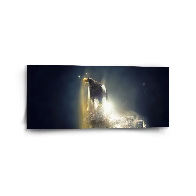 Obraz Orel - 110x50 cm
