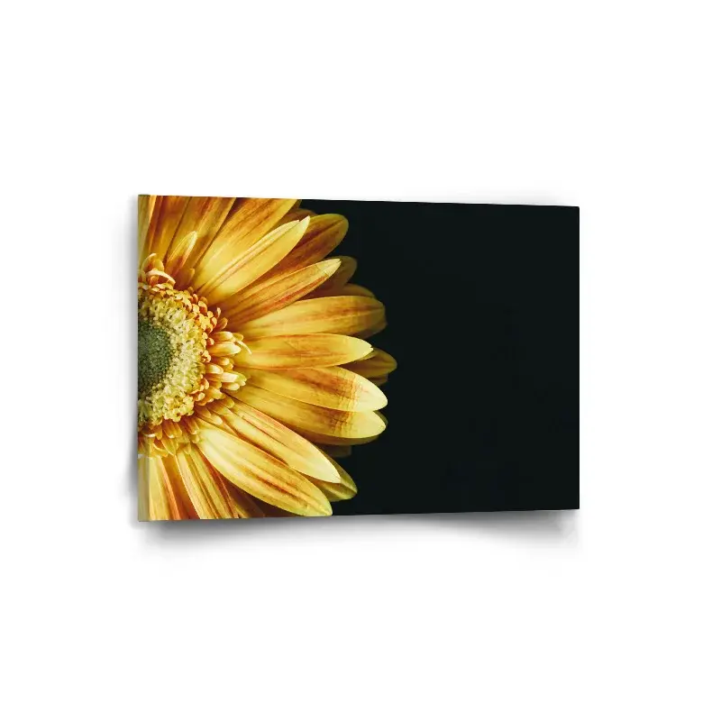 Obraz žlutá gerbera - 90x60 cm