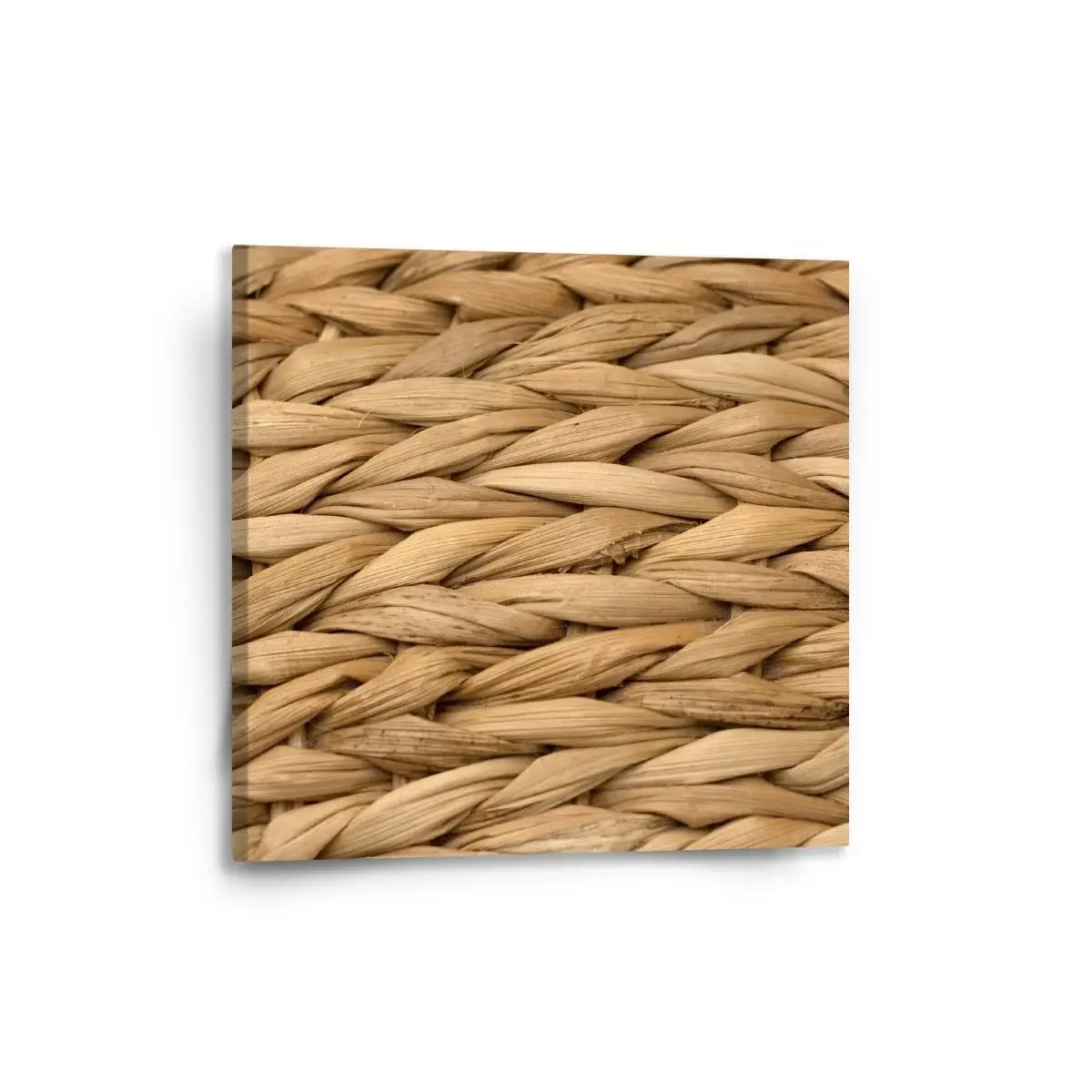 Obraz Banánové listí 2 - 50x50 cm