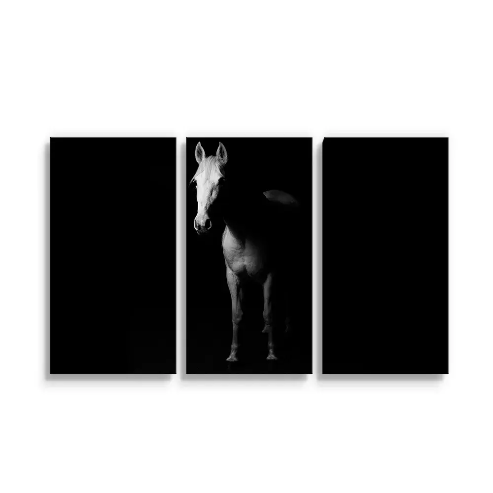 Obraz - 3-dílný Kůň ve stínu - 120x80 cm