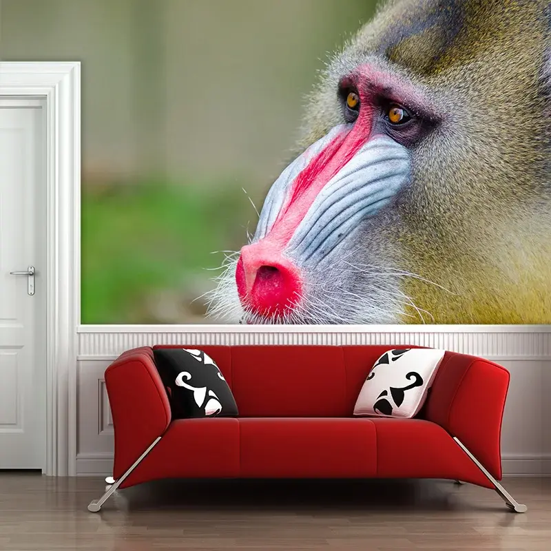 Tapeta Mandril - 208x125 cm