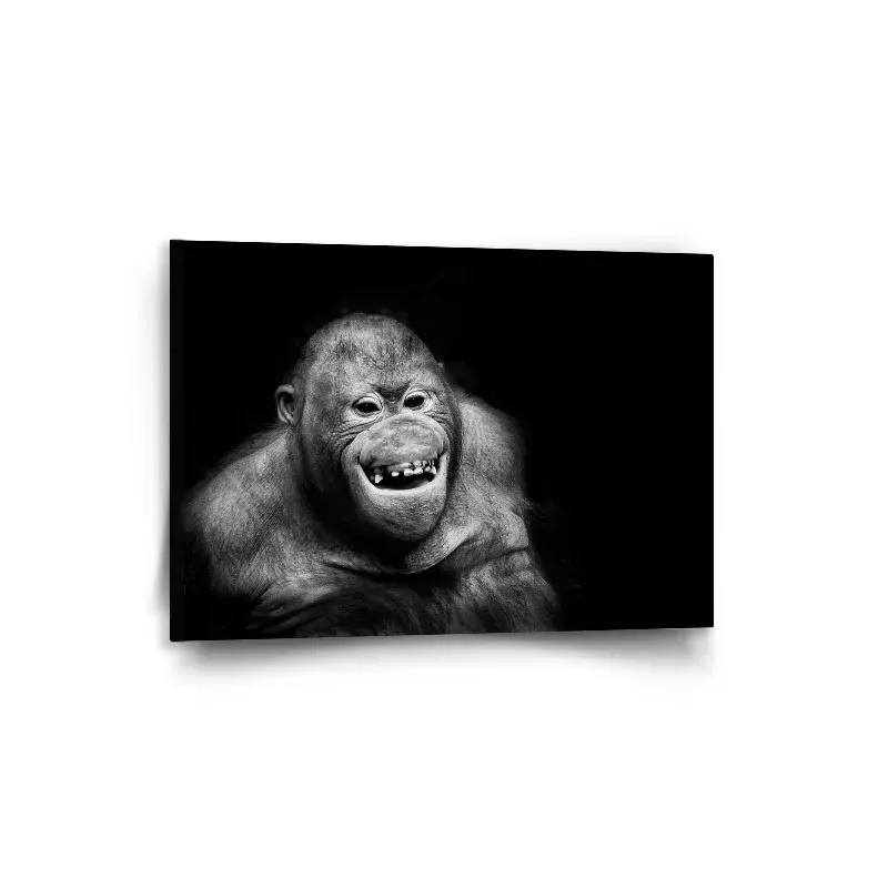 Obraz Orangutan - 90x60 cm