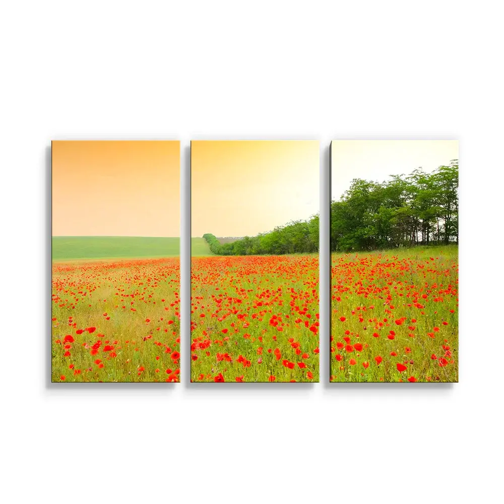 Obraz - 3-dílný Pole vlčích máků - 120x80 cm