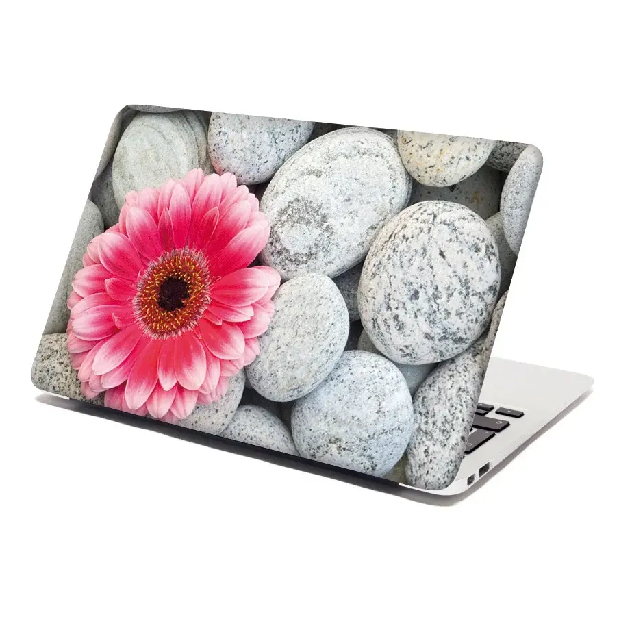 Samolepka na notebook Gerbera na kamenech - 29x20 cm