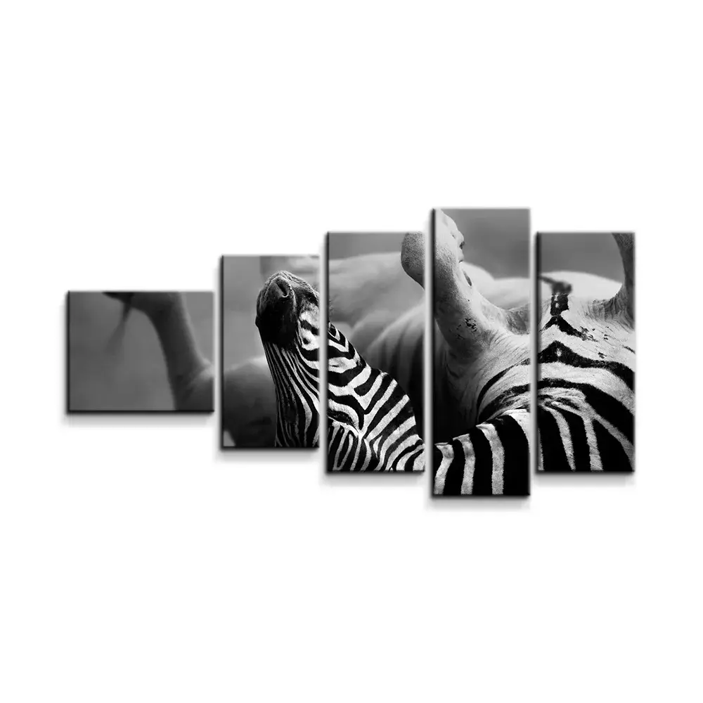 Obraz - 5-dílný Válející se zebra - 100x60 cm