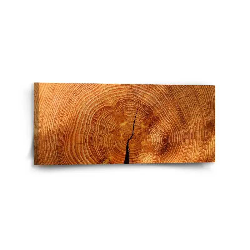 Obraz Dřevo 2 - 110x50 cm