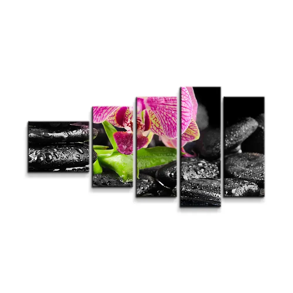 Obraz - 5-dílný Orchidej na kamenech - 100x60 cm