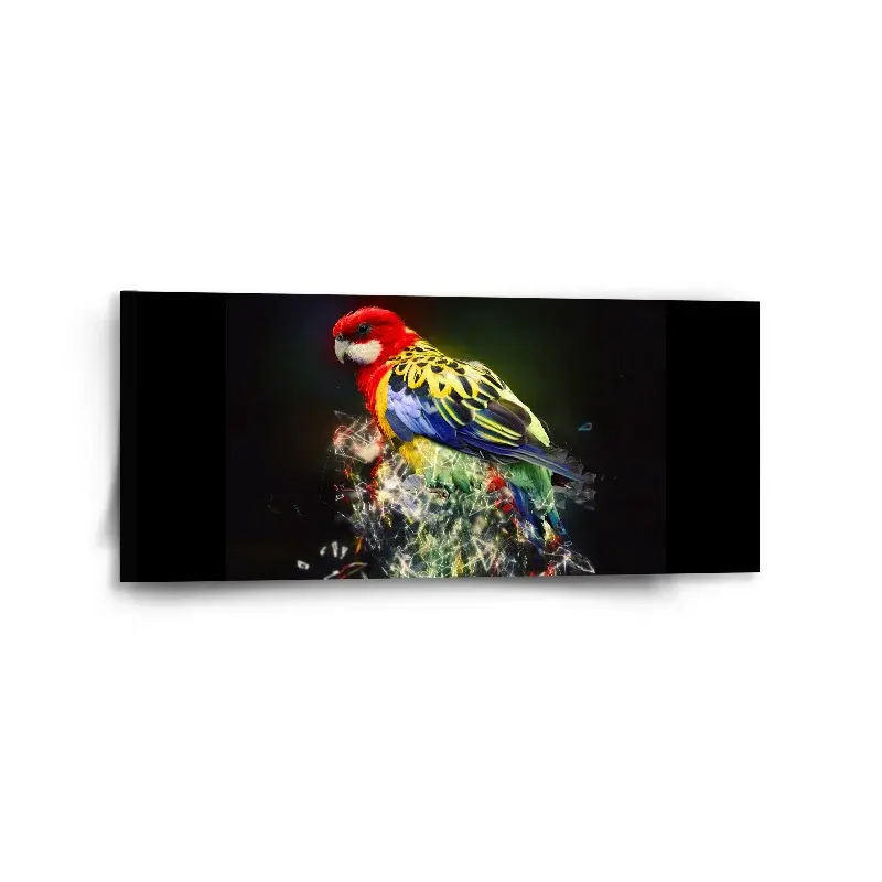 Obraz Barevný papoušek - 110x50 cm