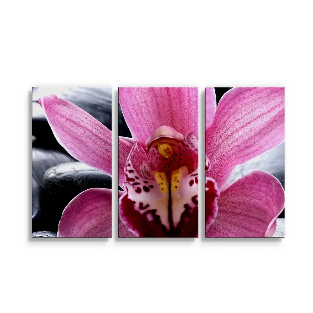 Obraz - 3-dílný Růžová orchidea - 120x80 cm