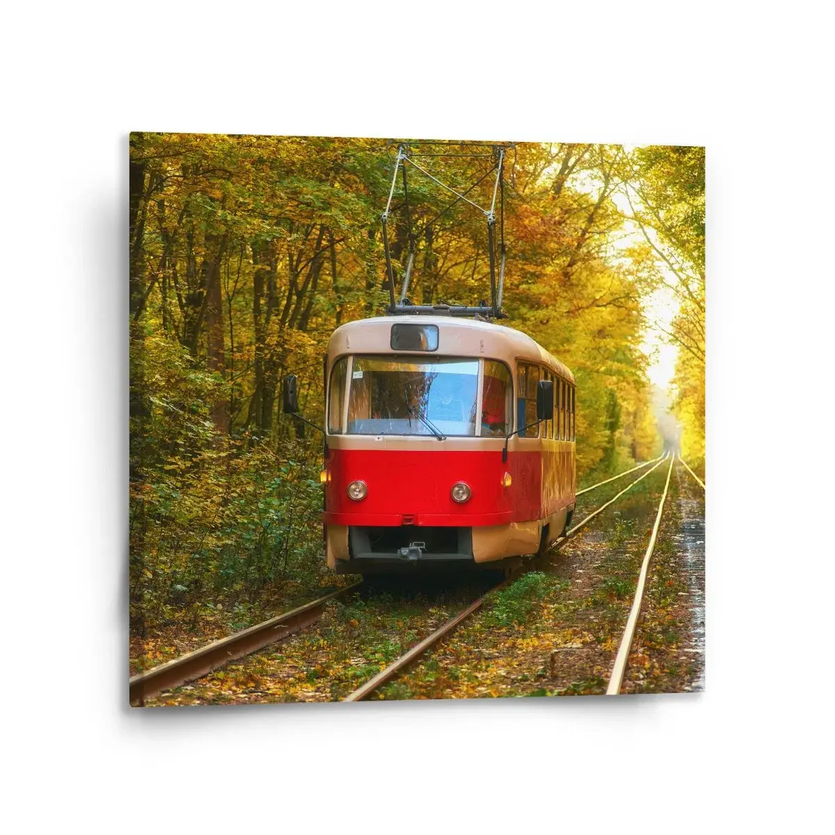 Obraz Červená tramvaj v lese - 110x110 cm