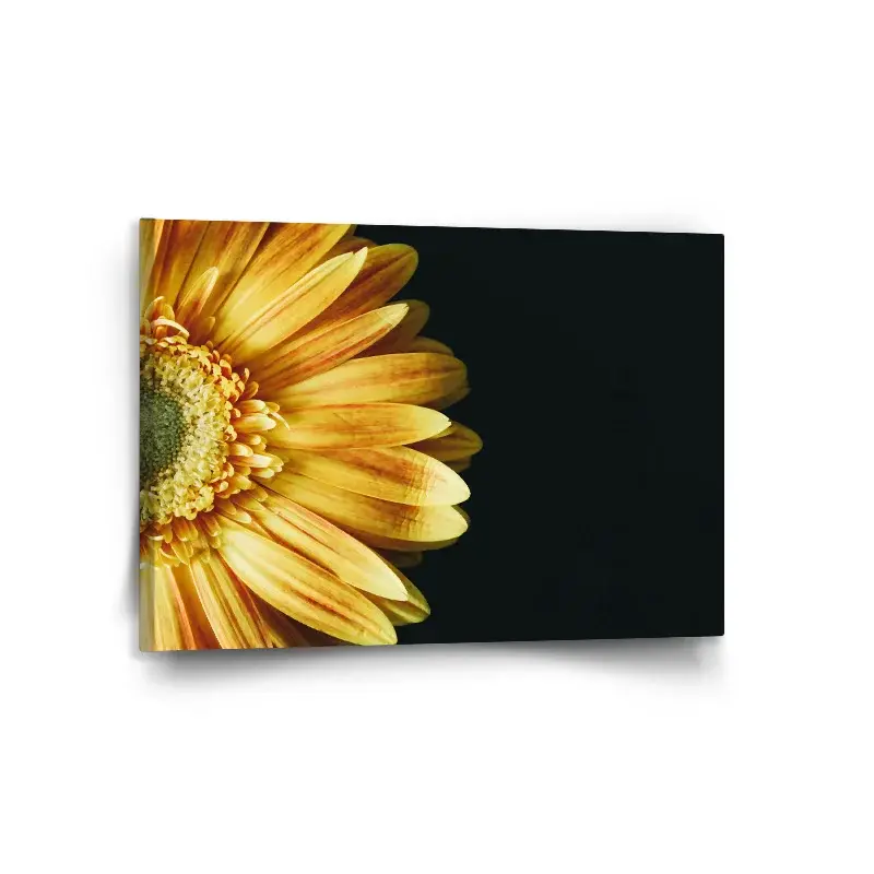 Obraz žlutá gerbera - 120x80 cm