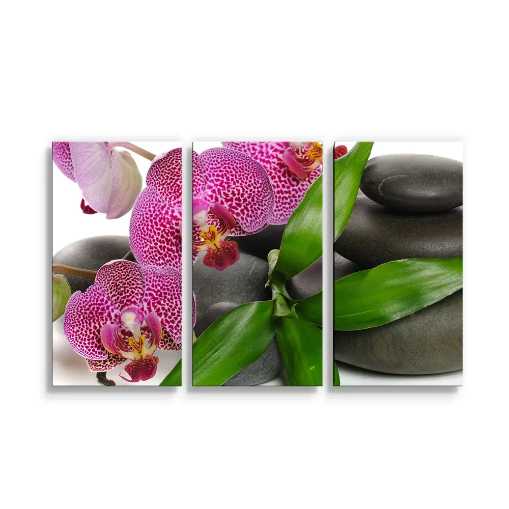 Obraz - 3-dílný Orchideje a kameny - 120x80 cm