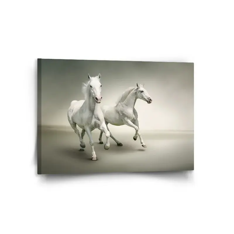 Obraz Dva bílí koně - 120x80 cm