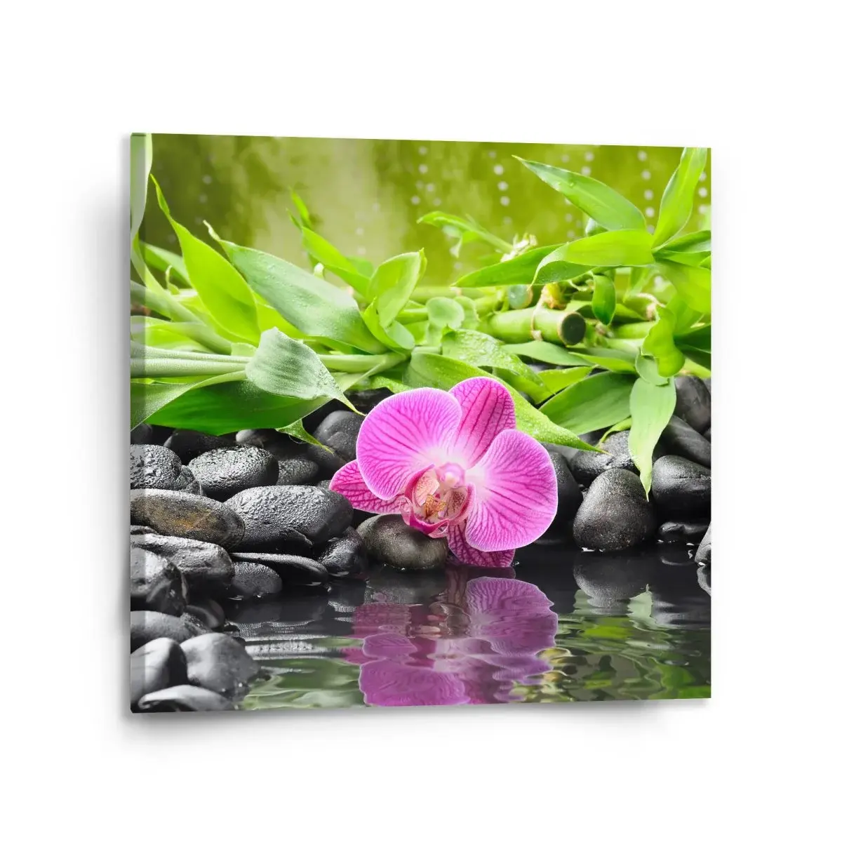 Obraz Růžová orchidej - 110x110 cm