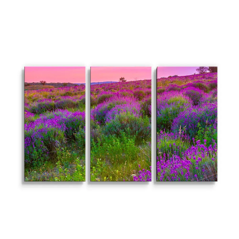 Obraz - 3-dílný Levandulové pole 2 - 120x80 cm