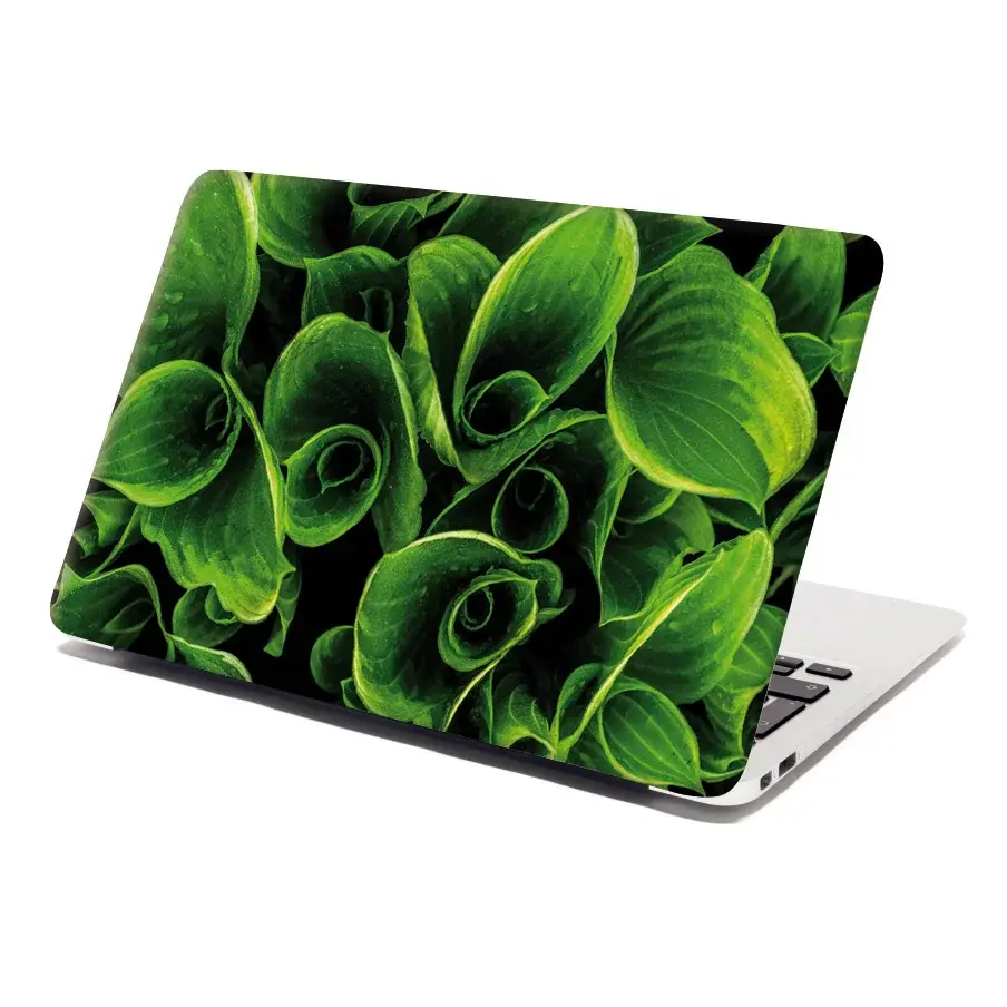 Samolepka na notebook Zelené listy - 38x26 cm