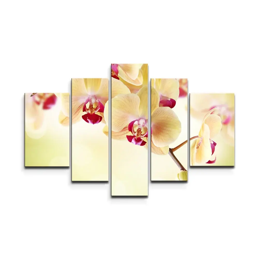 Obraz - 5-dílný Orchidej 2 - 125x90 cm