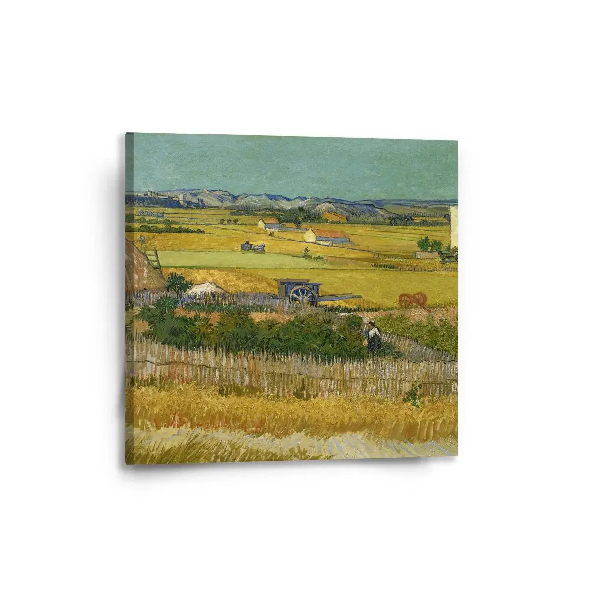 Obraz Sklizeň - Vincent van Gogh - 50x50 cm