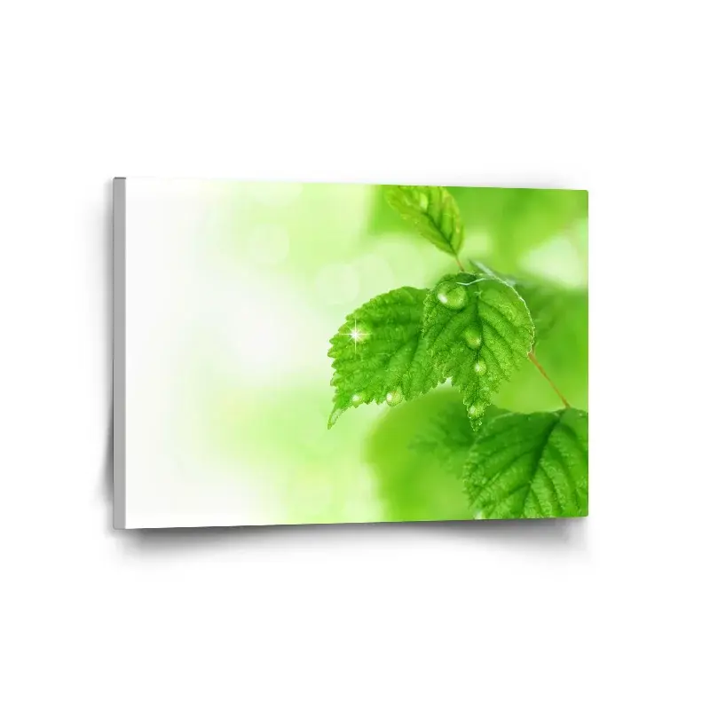Obraz Listy 3 - 120x80 cm