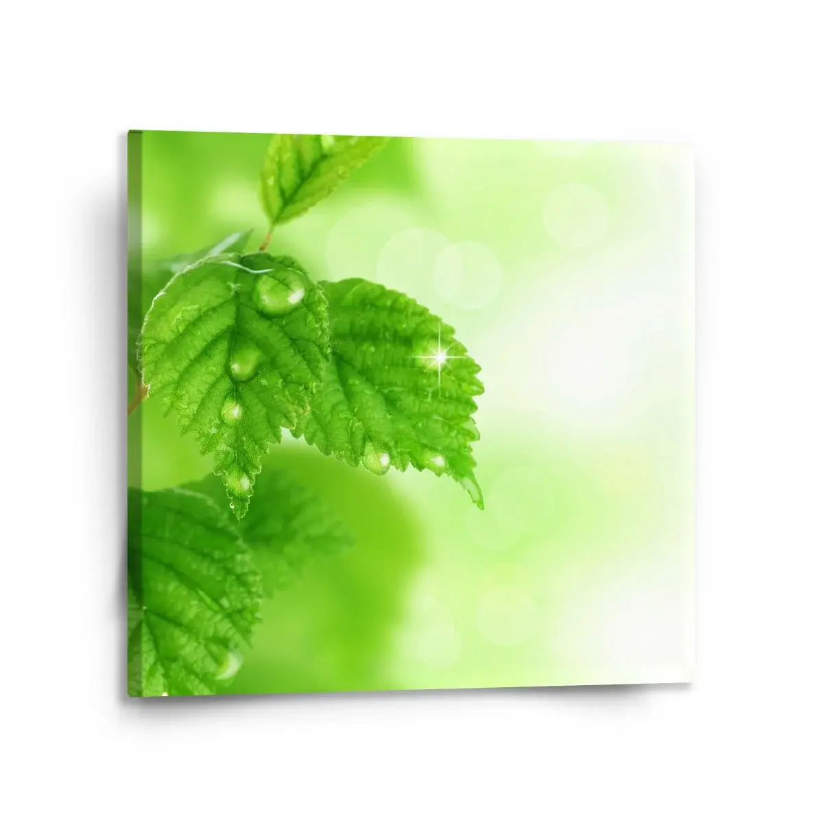 Obraz Listy 2 - 110x110 cm