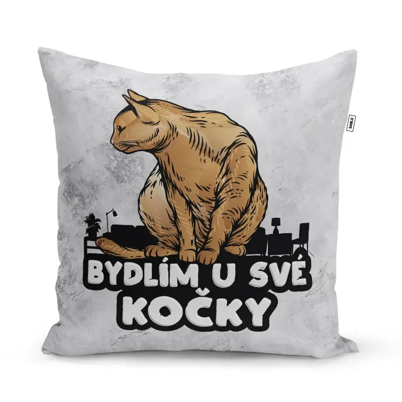 Polštář Bydlím u své kočky: 40x40 cm