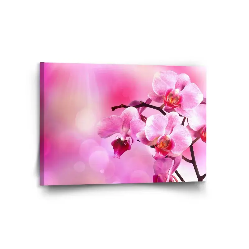 Obraz Květy orchideje - 120x80 cm