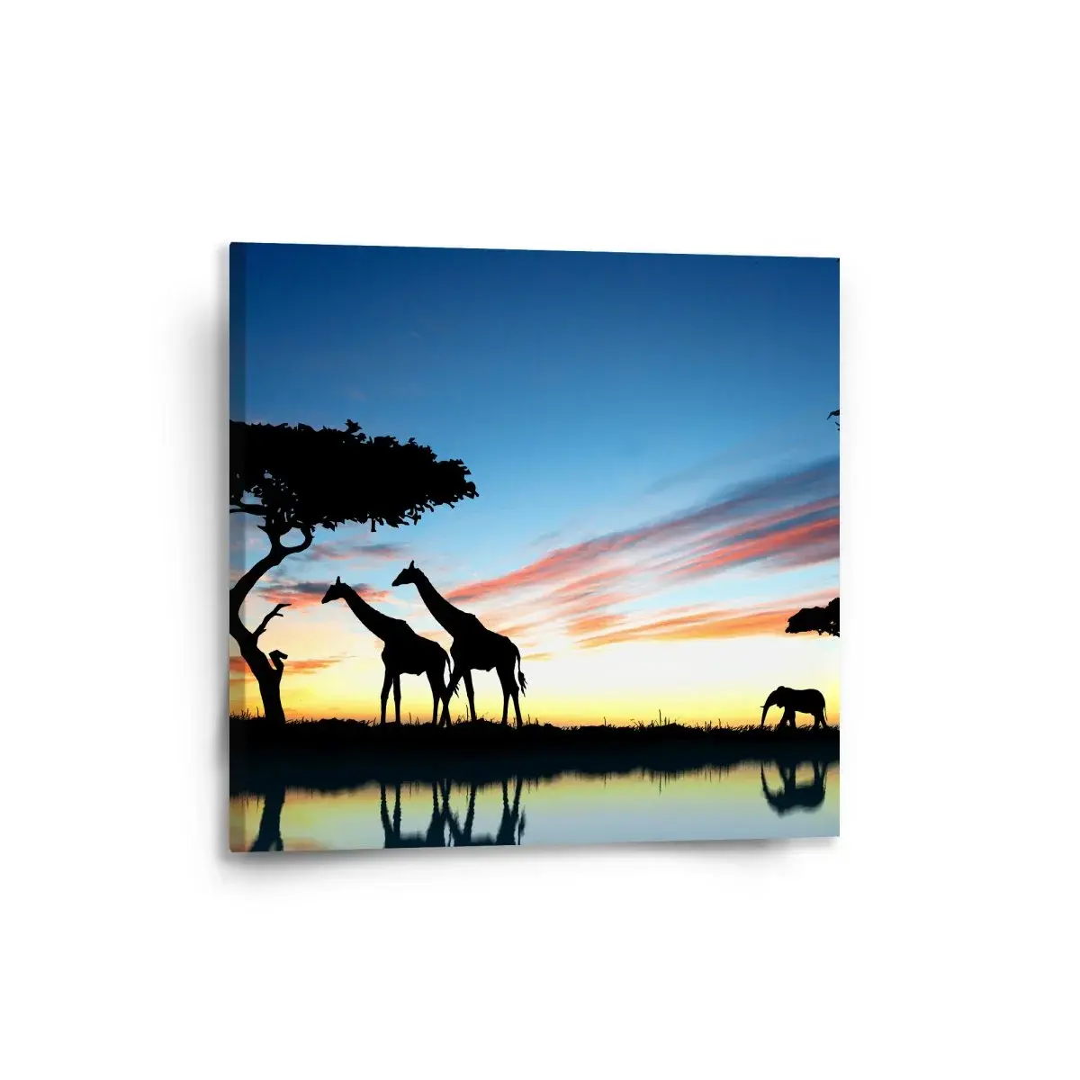 Obraz Sahara - 50x50 cm
