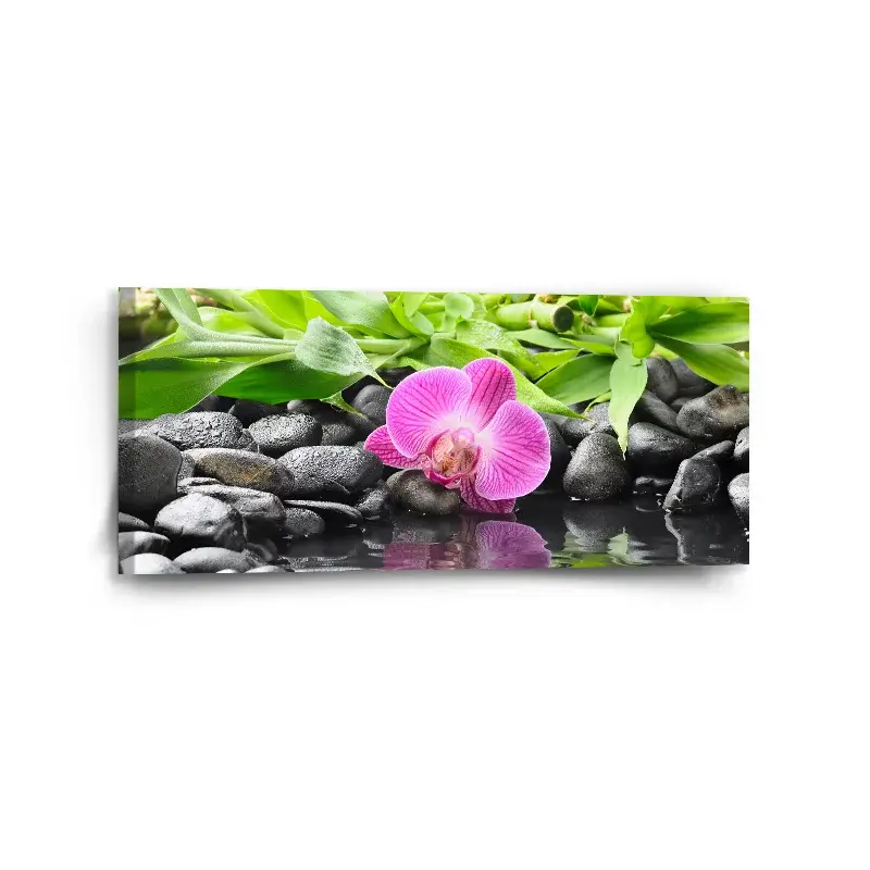 Obraz Růžová orchidej - 110x50 cm