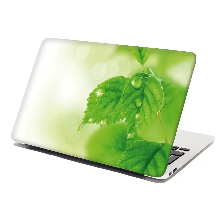 Samolepka na notebook Listy 3 - 29x20 cm