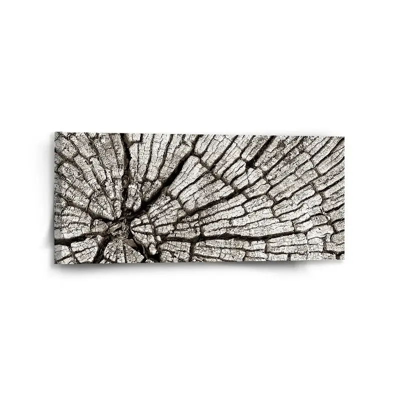Obraz Dřevo - 110x50 cm