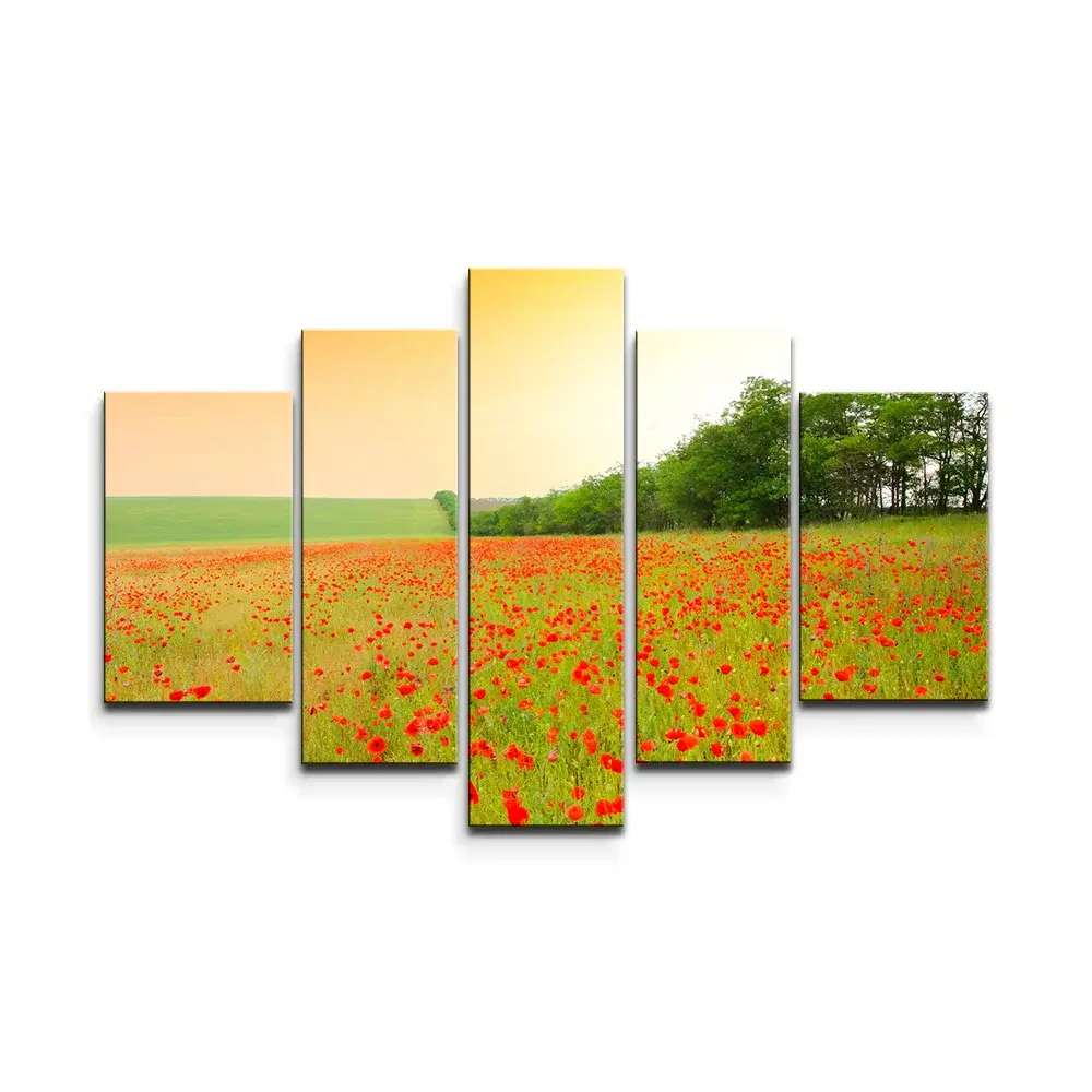 Obraz - 5-dílný Pole vlčích máků - 125x90 cm