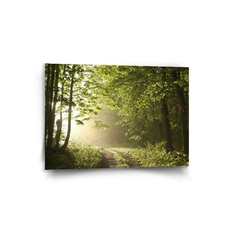 Obraz Lesní cesta - 90x60 cm