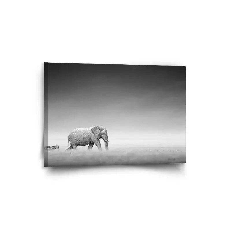 Obraz Slon a zebra - 90x60 cm