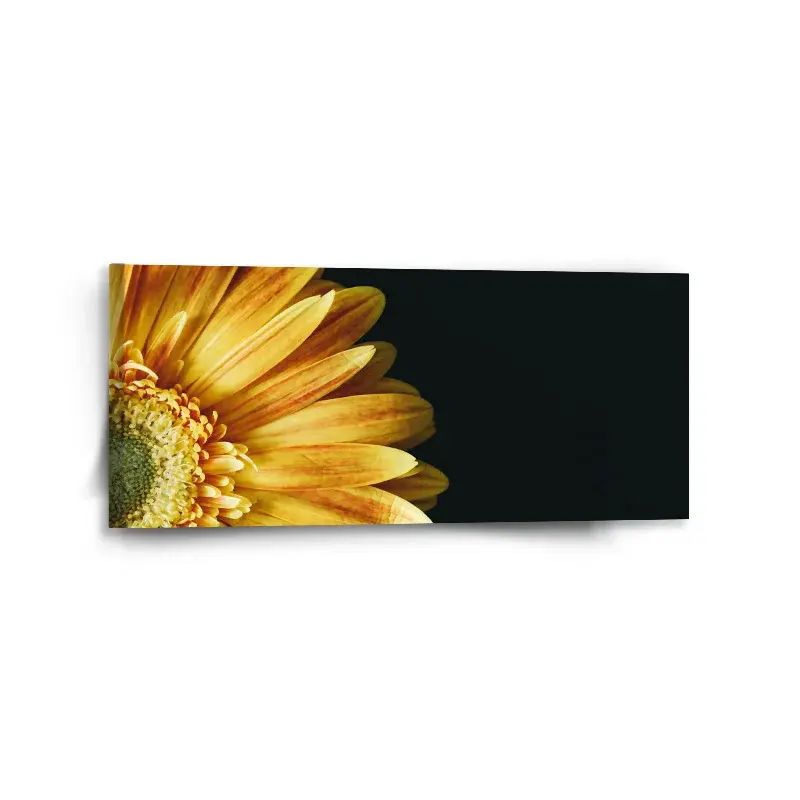 Obraz žlutá gerbera - 110x50 cm