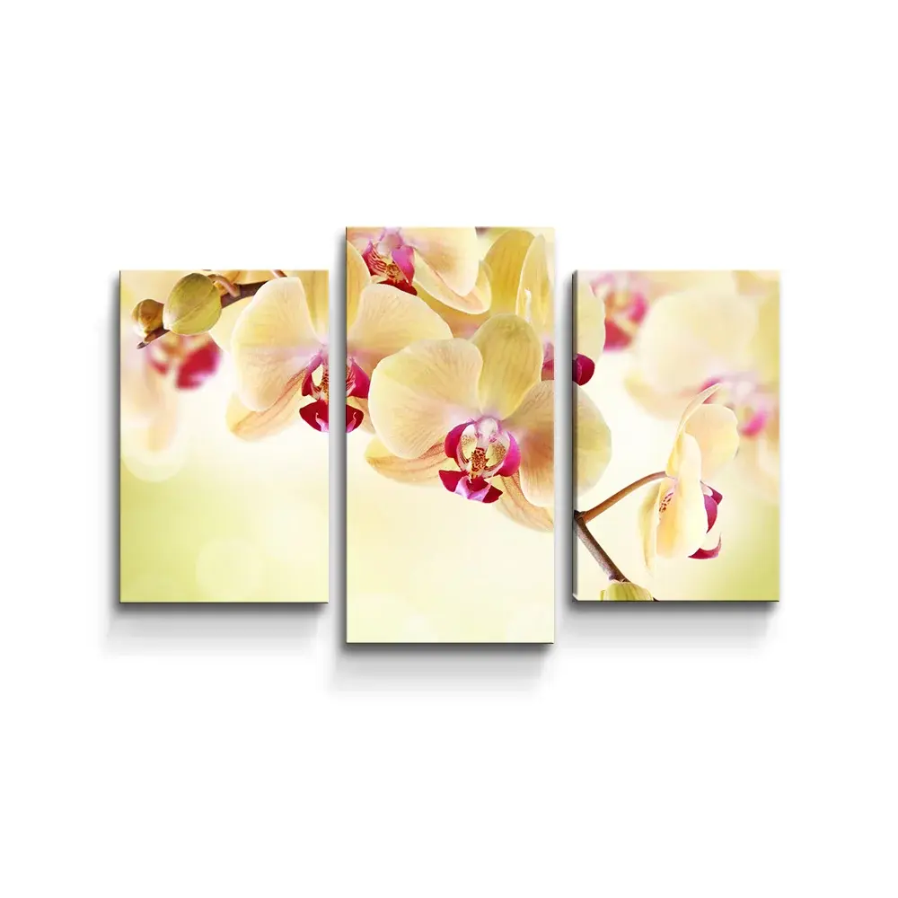 Obraz - 3-dílný Orchidej 2 - 75x50 cm